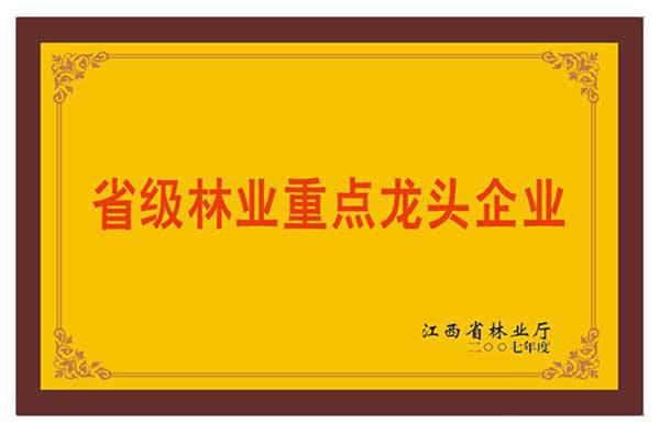 省級(jí)林業(yè)重點(diǎn)龍頭企業(yè)