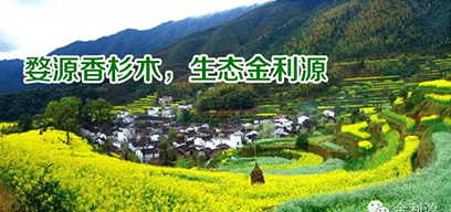 金利源板材/金品質(zhì) 源生態(tài).從源頭精挑細(xì)選，為品質(zhì)保駕護(hù)航——中國(guó)板材十大品牌品質(zhì)篇